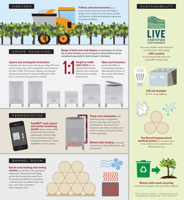 Winery Infographic